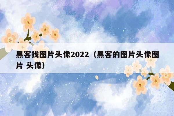 黑客找图片头像2022（黑客的图片头像图片 头像）