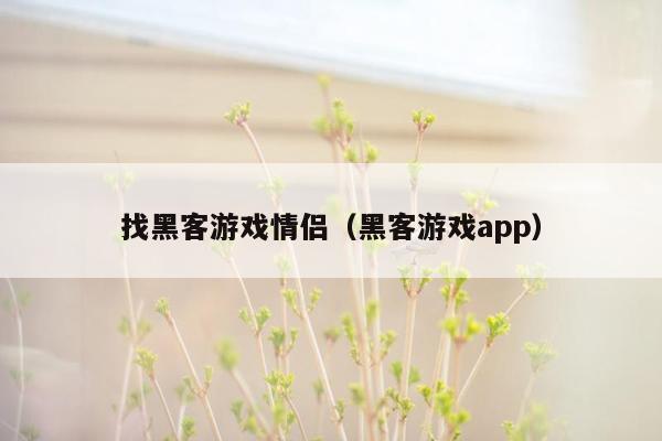 找黑客游戏情侣（黑客游戏app）