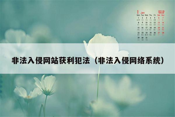 非法入侵网站获利犯法（非法入侵网络系统）