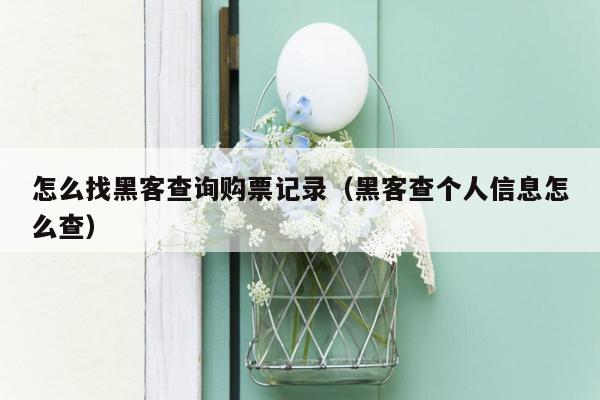 怎么找黑客查询购票记录（黑客查个人信息怎么查）