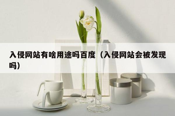 入侵网站有啥用途吗百度（入侵网站会被发现吗）