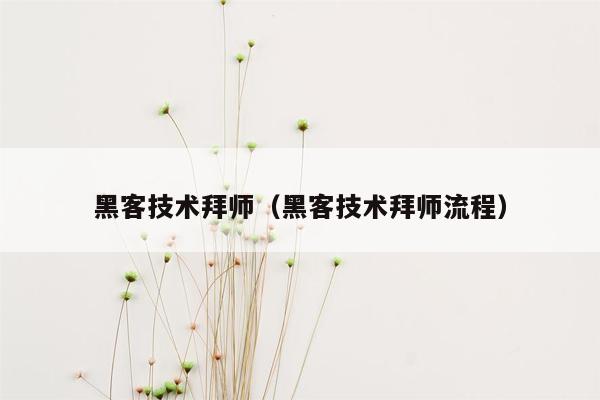 黑客技术拜师（黑客技术拜师流程）