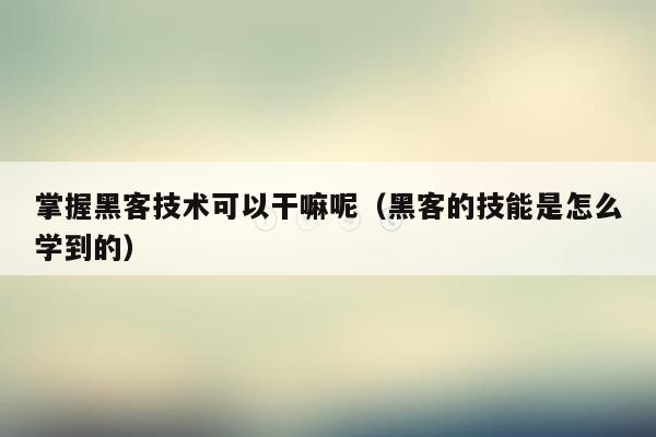 掌握黑客技术可以干嘛呢（黑客的技能是怎么学到的）