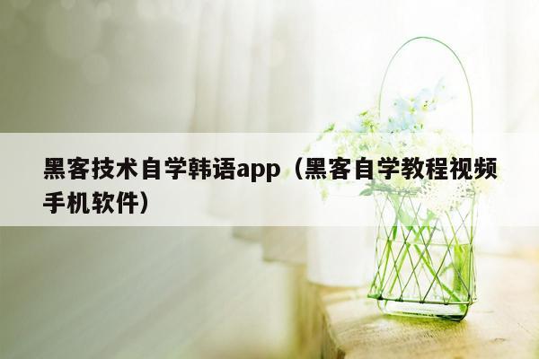 黑客技术自学韩语app（黑客自学教程视频手机软件）