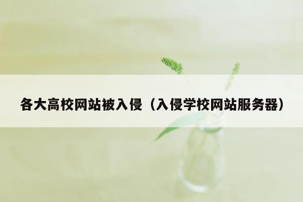 各大高校网站被入侵（入侵学校网站服务器）