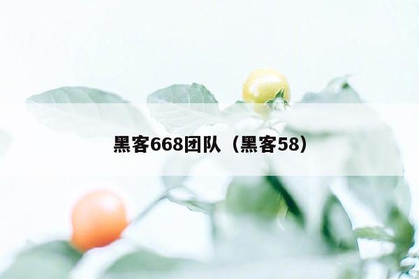 黑客668团队（黑客58）