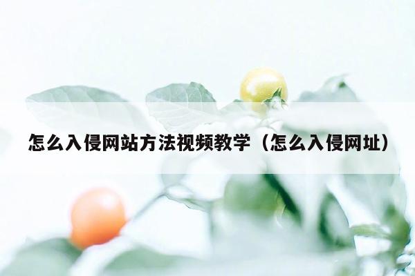 怎么入侵网站方法视频教学（怎么入侵网址）