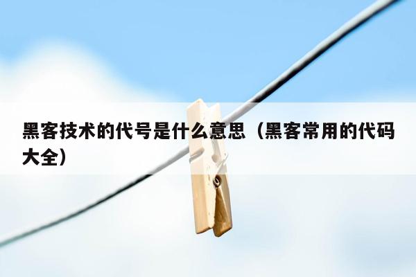 黑客技术的代号是什么意思（黑客常用的代码大全）