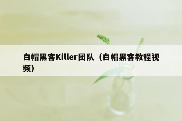 白帽黑客Killer团队（白帽黑客教程视频）