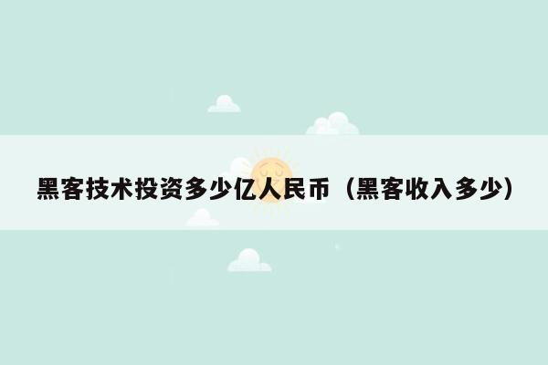 黑客技术投资多少亿人民币（黑客收入多少）