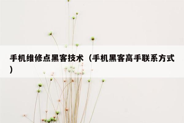 手机维修点黑客技术（手机黑客高手联系方式）