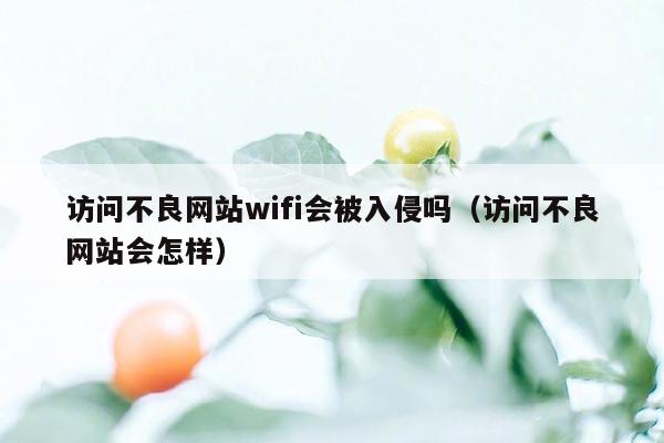 访问不良网站wifi会被入侵吗（访问不良网站会怎样）