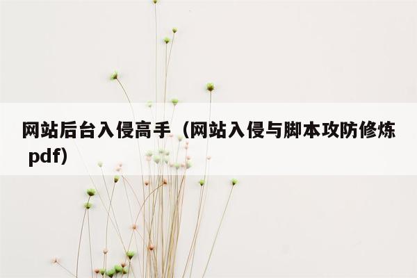 网站后台入侵高手（网站入侵与脚本攻防修炼 pdf）