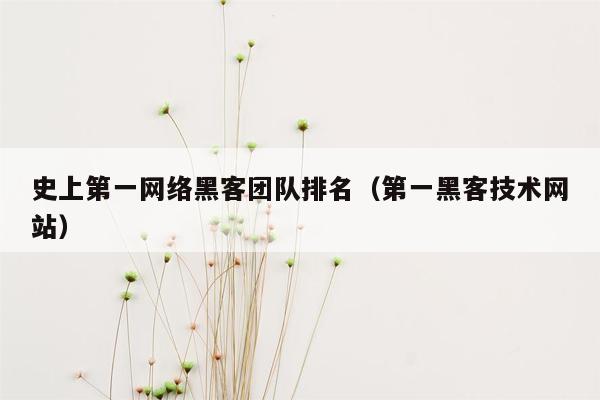 史上第一网络黑客团队排名（第一黑客技术网站）