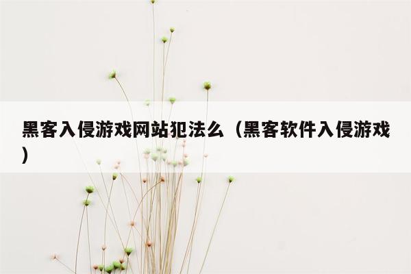 黑客入侵游戏网站犯法么（黑客软件入侵游戏）