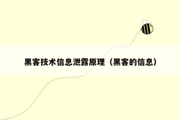 黑客技术信息泄露原理（黑客的信息）