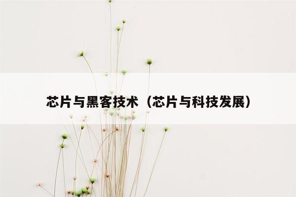 芯片与黑客技术（芯片与科技发展）