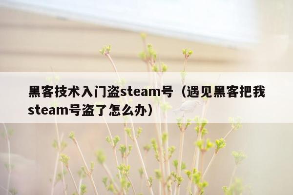 黑客技术入门盗steam号（遇见黑客把我steam号盗了怎么办）