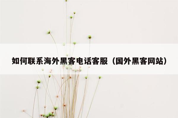 如何联系海外黑客电话客服（国外黑客网站）