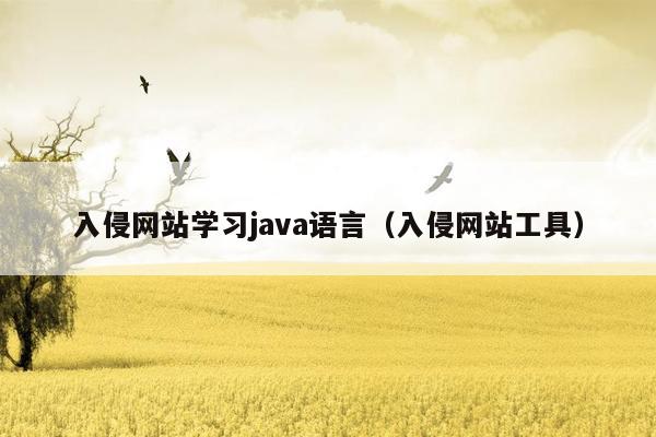 入侵网站学习java语言（入侵网站工具）