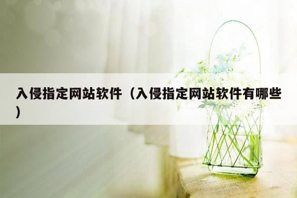 入侵指定网站软件（入侵指定网站软件有哪些）