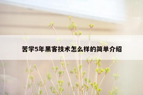 苦学5年黑客技术怎么样的简单介绍