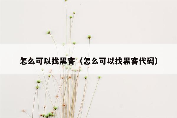 怎么可以找黑客（怎么可以找黑客代码）