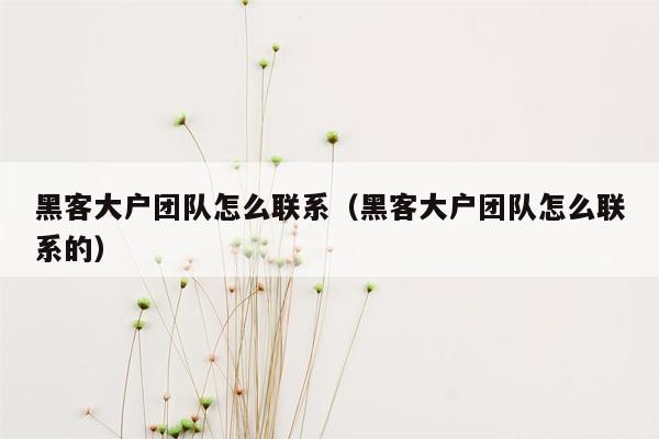 黑客大户团队怎么联系（黑客大户团队怎么联系的）