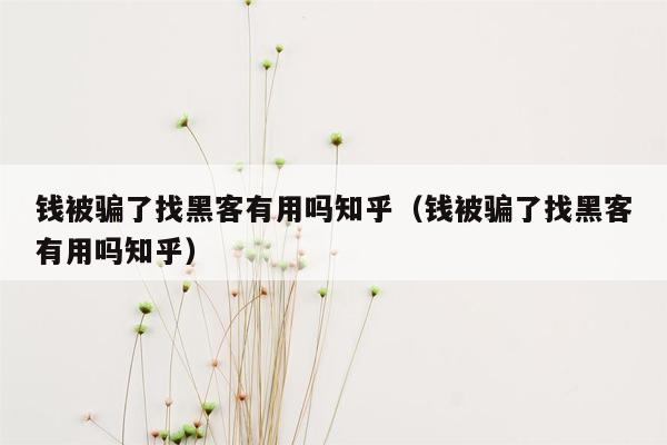 钱被骗了找黑客有用吗知乎（钱被骗了找黑客有用吗知乎）