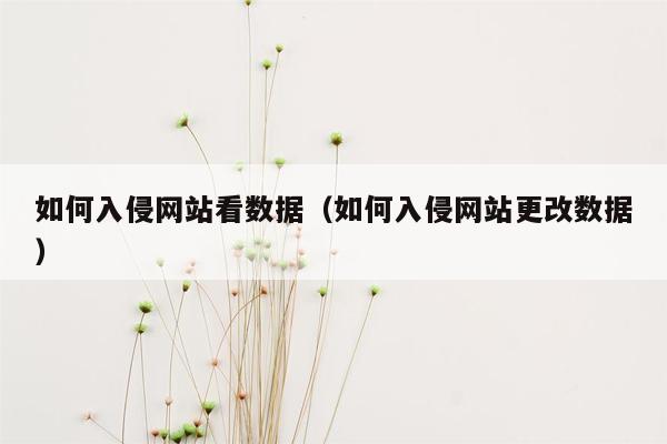 如何入侵网站看数据（如何入侵网站更改数据）