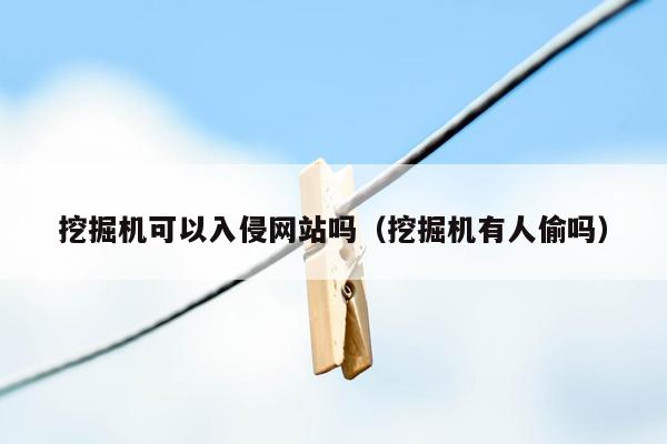 挖掘机可以入侵网站吗（挖掘机有人偷吗）