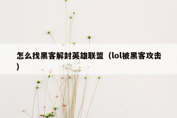 怎么找黑客解封英雄联盟（lol被黑客攻击）