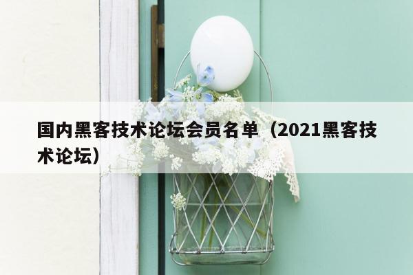 国内黑客技术论坛会员名单（2021黑客技术论坛）