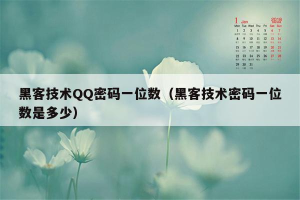 黑客技术QQ密码一位数（黑客技术密码一位数是多少）