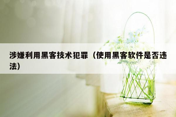 涉嫌利用黑客技术犯罪（使用黑客软件是否违法）