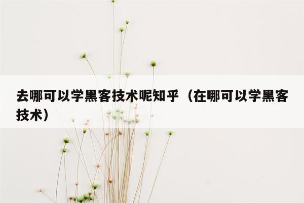 去哪可以学黑客技术呢知乎（在哪可以学黑客技术）