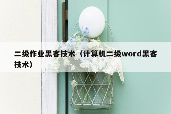 二级作业黑客技术（计算机二级word黑客技术）