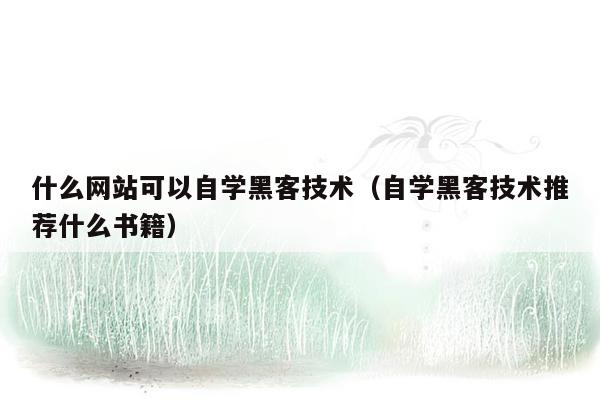 什么网站可以自学黑客技术（自学黑客技术推荐什么书籍）