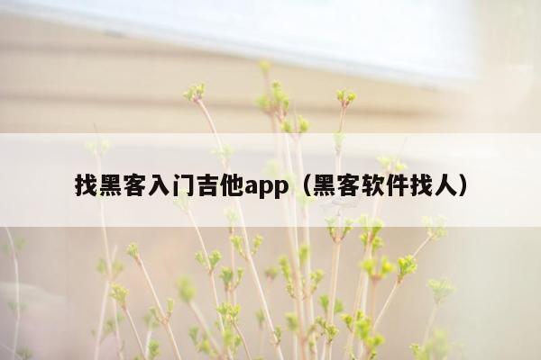 找黑客入门吉他app（黑客软件找人）