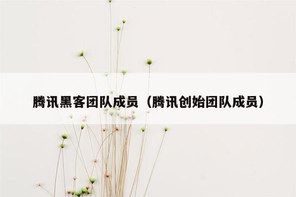 腾讯黑客团队成员（腾讯创始团队成员）