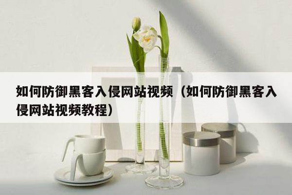 如何防御黑客入侵网站视频（如何防御黑客入侵网站视频教程）