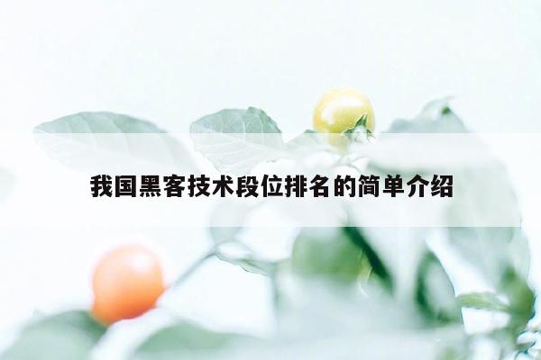 我国黑客技术段位排名的简单介绍