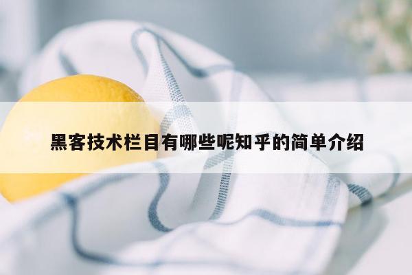 黑客技术栏目有哪些呢知乎的简单介绍