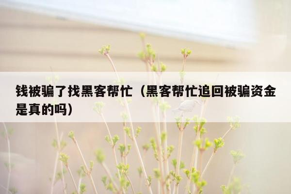 钱被骗了找黑客帮忙（黑客帮忙追回被骗资金是真的吗）