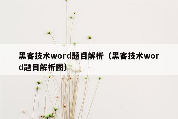 黑客技术word题目解析（黑客技术word题目解析图）