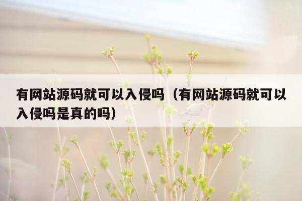 有网站源码就可以入侵吗（有网站源码就可以入侵吗是真的吗）