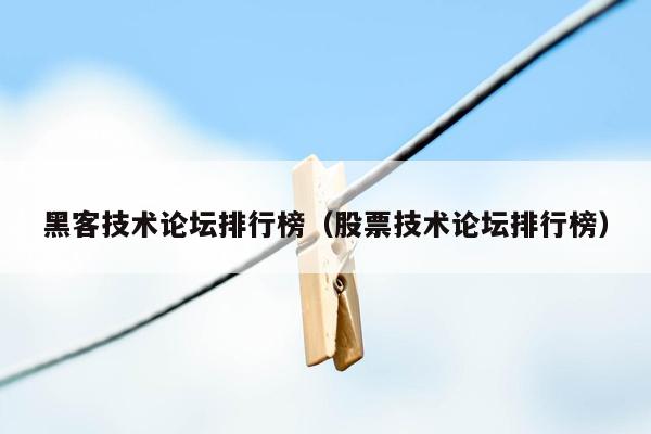 黑客技术论坛排行榜（股票技术论坛排行榜）