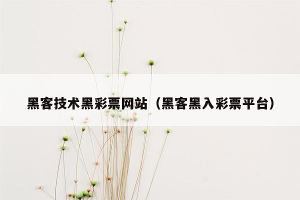 黑客技术黑彩票网站（黑客黑入彩票平台）