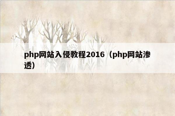 php网站入侵教程2016（php网站渗透）