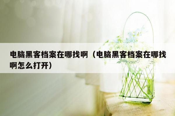 电脑黑客档案在哪找啊（电脑黑客档案在哪找啊怎么打开）